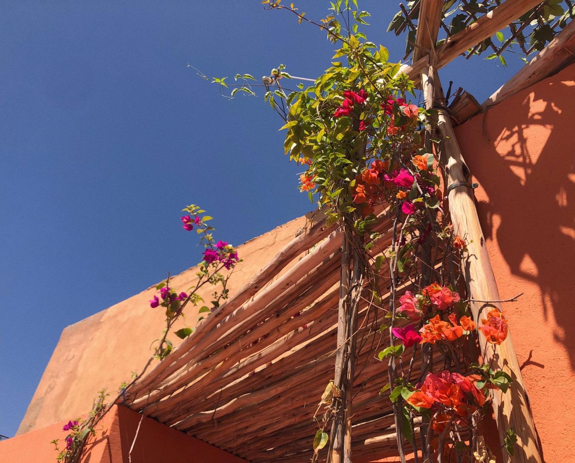 Riad Ahmed Marrakesch Exterior foto