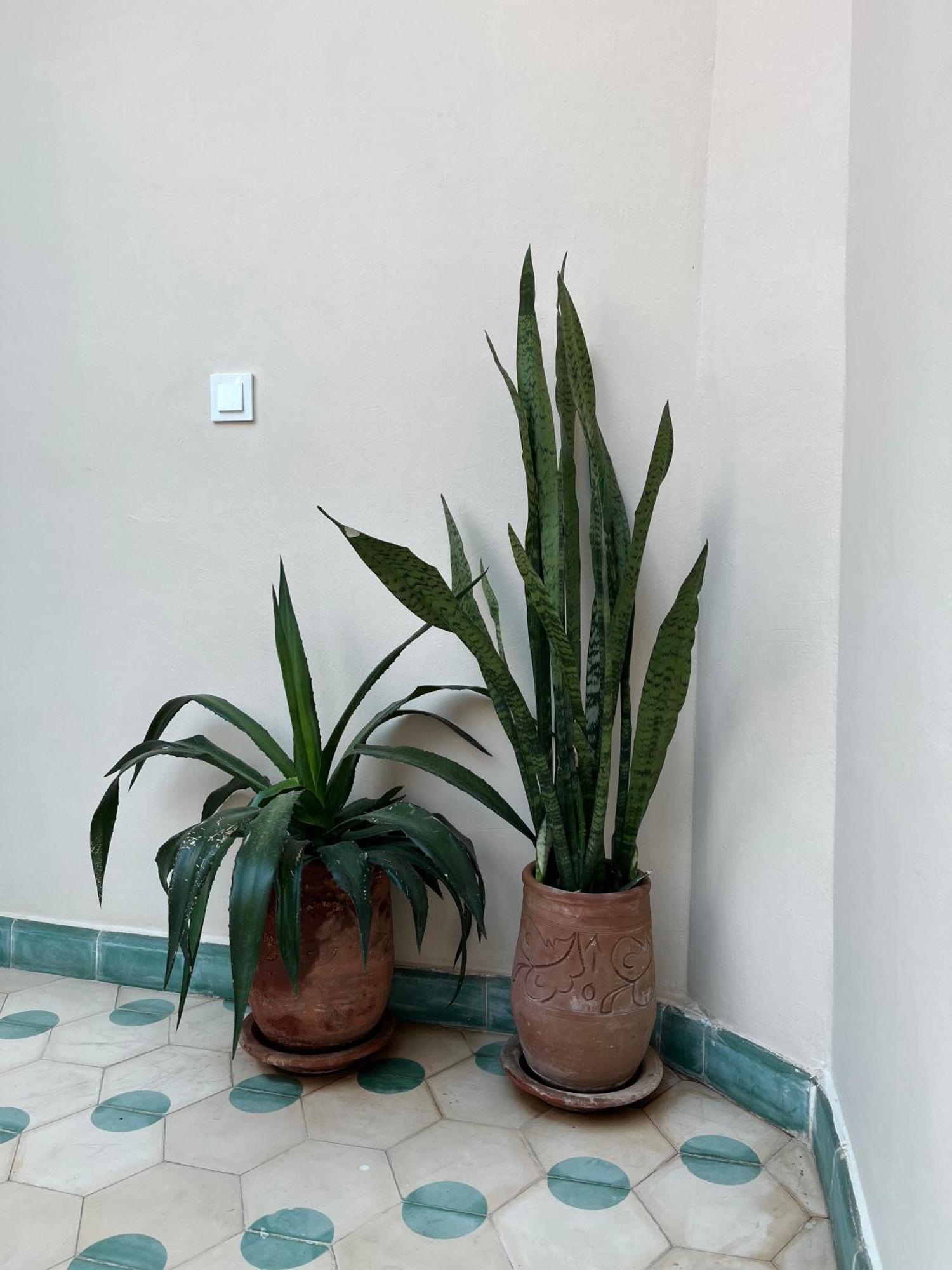 Riad Ahmed Marrakesch Exterior foto